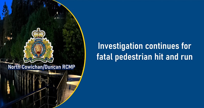 Investigation continues for fatal pedestrian hit and run