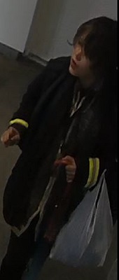 A person with short black hair, wearing a B.C Ferries jacket, a <q>Bee Clean</q> reflective vest, dark pants, black shoes, carrying a white plastic bag.